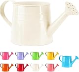 Gießkanne Klein Zimmerpflanzen 1L Kleine Gießkanne Metall Blumentopf Giesskanne Garten Balkon Watering Can Kieskanne Vintage Blumengießkanne Pflanzengießkanne Gartenwerkzeug (1PC/Weiß)
