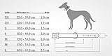 HUNTER VARIO BASIC Hundehalsung, Hundehalsband, robust, geschmeidig, Klickverschluss, M/1,5, schwarz