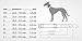 HUNTER VARIO BASIC Hundehalsung, Hundehalsband, robust, geschmeidig, Klickverschluss, M/1,5, schwarz