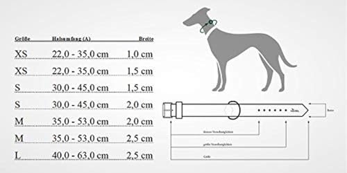 HUNTER VARIO BASIC Hundehalsung, Hundehalsband, robust, geschmeidig, Klickverschluss, M/1,5, schwarz
