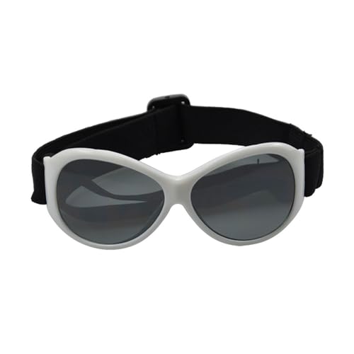 Ywmsfl Winproof Dogs Suitable for Large Dogs Pet Glasses for Snow Beach Outdoor Snow Sports Eye Wear