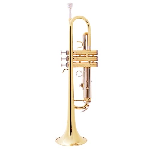Trumpets for Beginner Playing B Flat Trumpet Band Beginner Wind Instrument Two-color Brass Trumpet