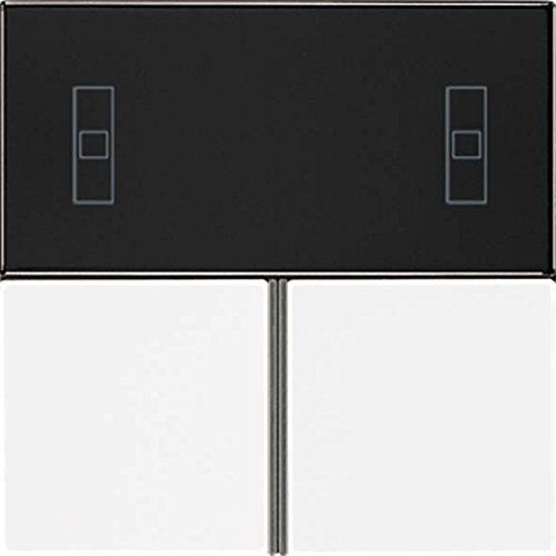 Module de touche knx Jung laiton ancien pour interrupteur de salon