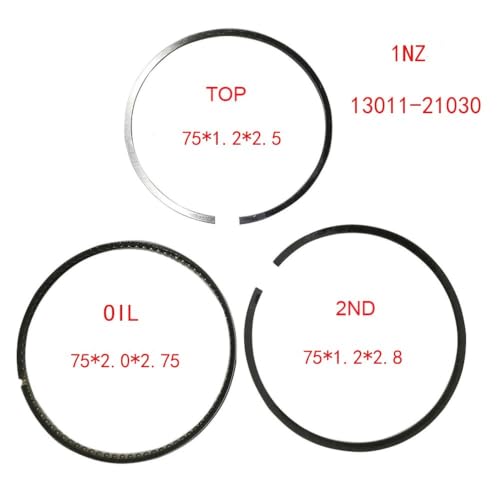 Kit de cylindre segment de piston pour réfection moteur Funcargo - 2