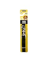 Algopix Similar Product 6 - Aspen Pet Nylon Lead, Black, 5/8" x 5'