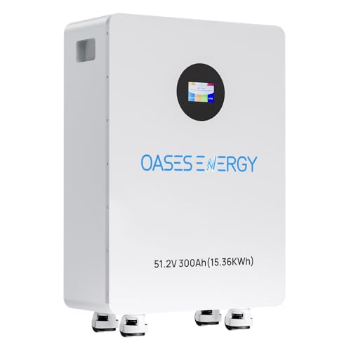 48V 300Ah LiFePO4 Lithium Battery, 15.36kWh Capacity Built-in 200A BMS & Touchable LCD Screen, Deep...