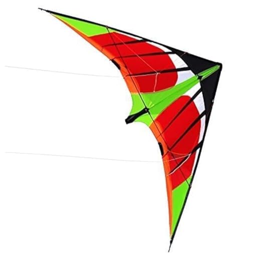 US Sky Kite NEW 5.9ft 1.8m Stunt Swift Kite Outdoor Sport Fun Toys Novelty Dual Line Delta