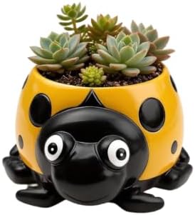 Bee Flowerpot, Decorative Ladybug Plant Pot for Indoor Outdoor Plants Home Garden Decor, Succulent Planter Gift for Kids Women Men (Yellow Ladybug) image 5