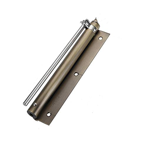 DFSGEP ShAN[U[A߉\ȃhAhAƒphAXvO(Big Red Bronze)