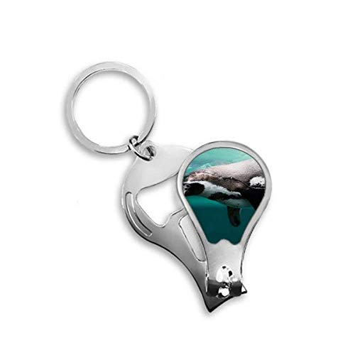 Toenail clipper deep blue penguin photo avec lames de précision