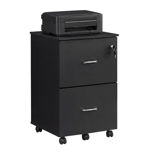 VASAGLE CUSTOS Collection - 2-Drawer File Cabinet, Locking Filing Cabinet for Home Office, Small Rolling Printer Stand, A4, Letter-Size Hanging Files, Assembly Required, Black ULCD27BKV1