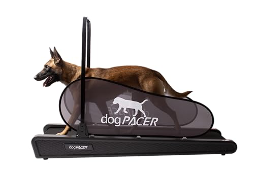 dogPACER SE Mid Size Dog Pacer Treadmill, Grey