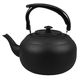 ANDRESLAD Tetera de Acero Inoxidable 20L con Infusor para Té a Granel Asa Ergonómica y Diseño Pulido Adecuado para Cocina Estufa y Casas de Té Hervidor Multiusos para Mantener Sabor y
