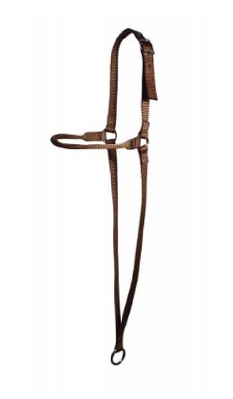 /: France's Last Liner/Norway's First Mega Cruise ShipProfessional Grade (TV Series)