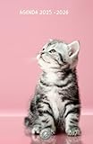 Photo Gallery agenda scolaire 2025-2026 – spécial amoureux·ses des chatons ! Photo Gallery agenda scolaire 2025-2026 – spécial amoureux·ses des chatons !