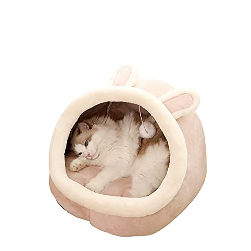 Amazon Com 室内猫床可机洗室内猫宠物床软猫床 可爱的宠物用品 适合猫咪 兔子 小狗床 Productos Para Animales Amazon Com 室内猫床可机洗室内猫宠物床软猫床 可爱的宠物用品 适合猫咪 兔子 小狗床 Productos Para Animales