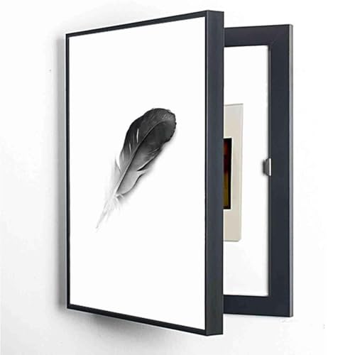 Boîte de compteur décorative pour couloir et salon au style épuré moderne