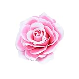 Diamètre de la fleur : environ 10 cm (1 cm = 0,4 pouce)