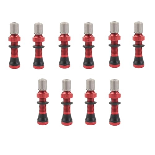 Válvulas tubeless de 40 mm Schrader para solucionar pérdidas de aire en llantas