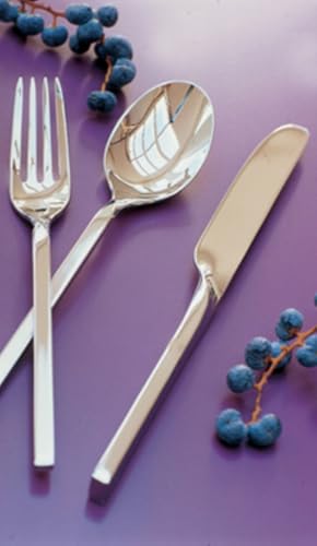 Villeroy & Boch 1263389093 New Wave Flatware 64 pc Set, Stainless Steel, Silver