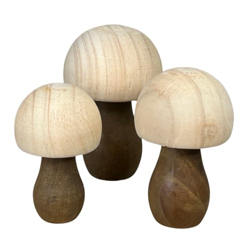 Bulk Pricing for DIY Mushrooms, Set of 12, Create Your