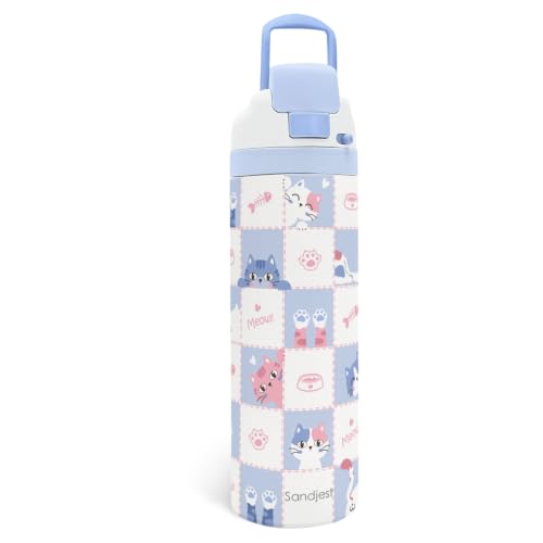 Cat Insulated Water Bottle with Straw