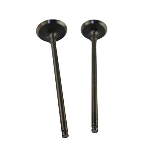 Kit de vástago de admisión 12005-0737 (1 par) para modelos de 250cc 5