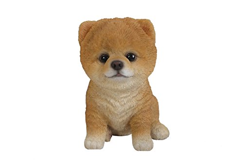 Hi-Line Gift Ltd Sitting Pomeranian Puppy, 6" #TOP19