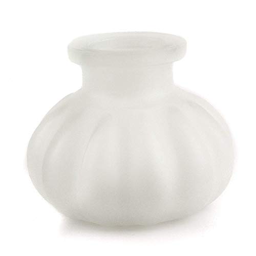 Gstar 11" Premium 2 Hose Hookah Complete Set - Mini Pumpkin Hookah Glass Vase - Pick Your Color (Snow White + Case) #TOP1