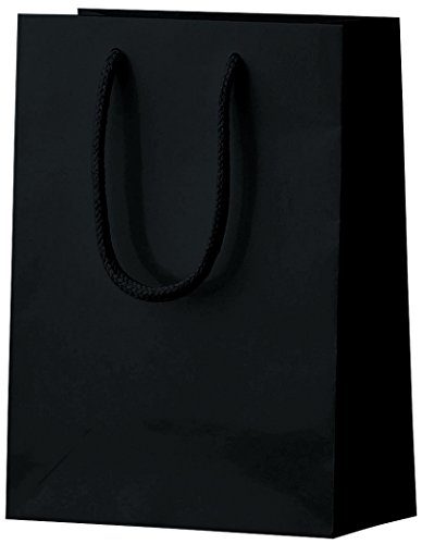丸玉工業 紙袋 シャイニーバッグ 手提げ袋 XSサイズ 黒 10枚
