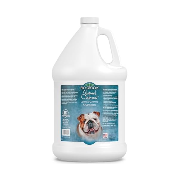 BIO-GROOM - Natural Oatmeal - Haferflocken Shampoo - Hundeshampoo und Welpenshampoo - Lindert Juckreiz und spendet Feuchtigkeit - pH-neutral und frei von Parabenen - 3,8 L