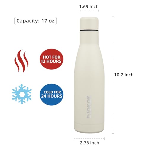 Image of BJPKPK 17oz Skinny Insulated Water Bottle, Stainless Steel Flask