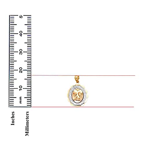TGDJ 14k Tri-color Gold Baptism Religious Pendant with 1.5mm Valentino Chain Necklace4
