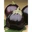 Dark purple 1