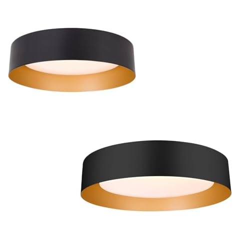 Bargeni LED Flush Mount Ceiling Light,12.5 inch and 16.5 inch,Matte Black with Gold Inside,3000K/Warm White Cover