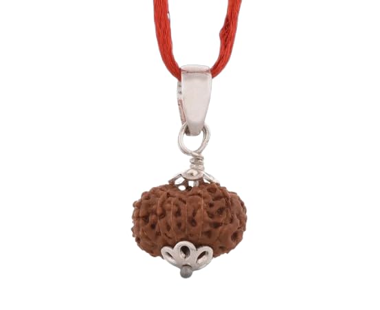 Rudraksha 17 Mukhi de Java et son pendentif en argent massif d'Indonésie