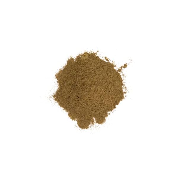 Hemp Protein Powder Insect Gourmet Your guide to edible insects