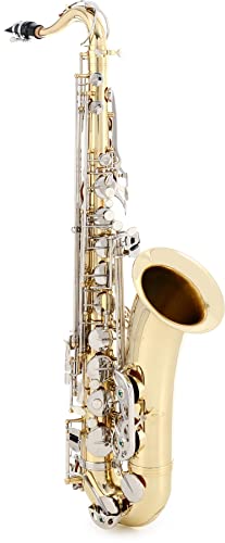 Selmer STS201 w ei[TbNX - bJ[