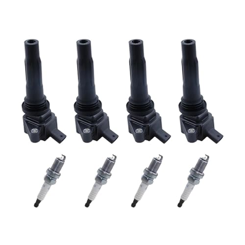 Bobine d'allumage et bougie F01R00A113 10239858 pour l'entretien de votre moteur