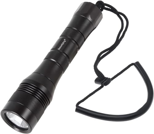 SecurityIng 1050 Lumens