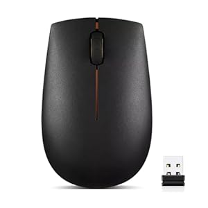 Lenovo Ratón inalámbrico 300 – Ratón de computadora para PC, portátil con Windows – Diseño ambidiestro – Receptor Nano USB de 2.4 GHz – 12 meses de duración de la batería