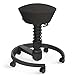 aeris Swopper New Edition Ergonomischer Hocker mit Rollen – Dynamischer Bürostuhl für einen gesunden Rücken – Vielseitiger Bürohocker und Sitztrainer – 45-59 cm Sitzhöhe, Feder Standard