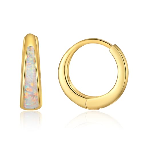 Opal Huggie Earrings for Women Trendy 14k Gold Plated Huggie Hoop Earrings Small Silver Earring Opal Jewelry Birthday Gifts for Women Mom Her