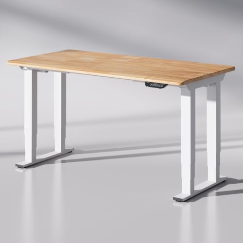 FLEXISPOT E6Q 63"x30" 4-Leg Standing Desk