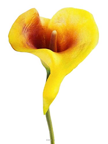 Artificielles - Arum Calla Fleur Jaune Aubergine h 42 cm Superbe - Choisissez Votre Coloris: Jaune - Aubergine