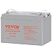VEVOR Deep Cycle Battery, 12V 100 AH, AGM Marine Rechargeable Battery, High Self-Discharge Rate 800A Current, for RV Solar Marine Off-Grid Applications UPS Backup Power System