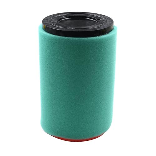 Filtre à air Bruin 250 pour résoudre les pertes de puissance - 4