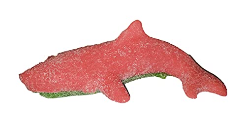 The Gummy Bear Guy Sour Shark Gummy Bear miniatura 4
