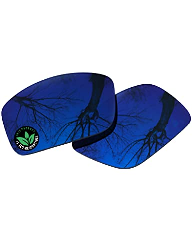 Image of Raydi Polycarbonate Replacement Lenses for Costa Del Mar Rincon 06S9018 Sunglasses