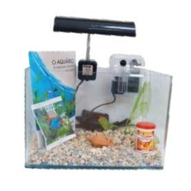 Acuario Completo C/Filtro Exter 16 L